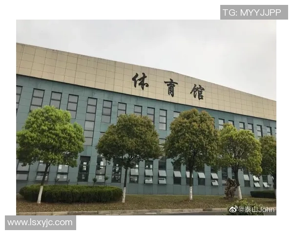 体育实时数据探寻南京篮球队的独特节奏与辉煌成就背后的秘密与故事