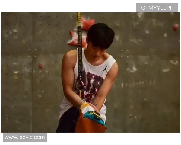 运动数据南京攀岩队的战术控制体系与攀岩技巧的深度融合探讨